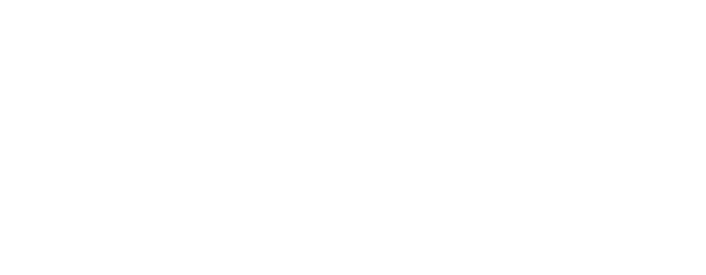 SLVN Logo – light